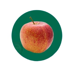 Fuji apples grown naturally at Deepak Orchard in Himachal Pradesh