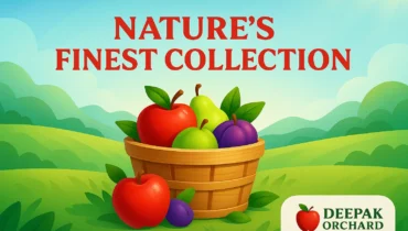 Nature’s Finest Apple and Fruit Collection from Deepak Orchard