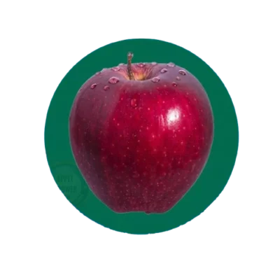 Red Delicious apples grown organically in Himachal Pradesh