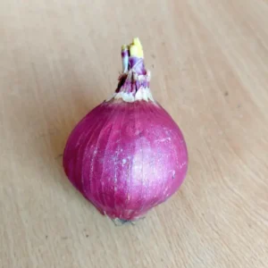 Fresh red onion with natural outer skin, farm grown onion suitable for daily cooking
